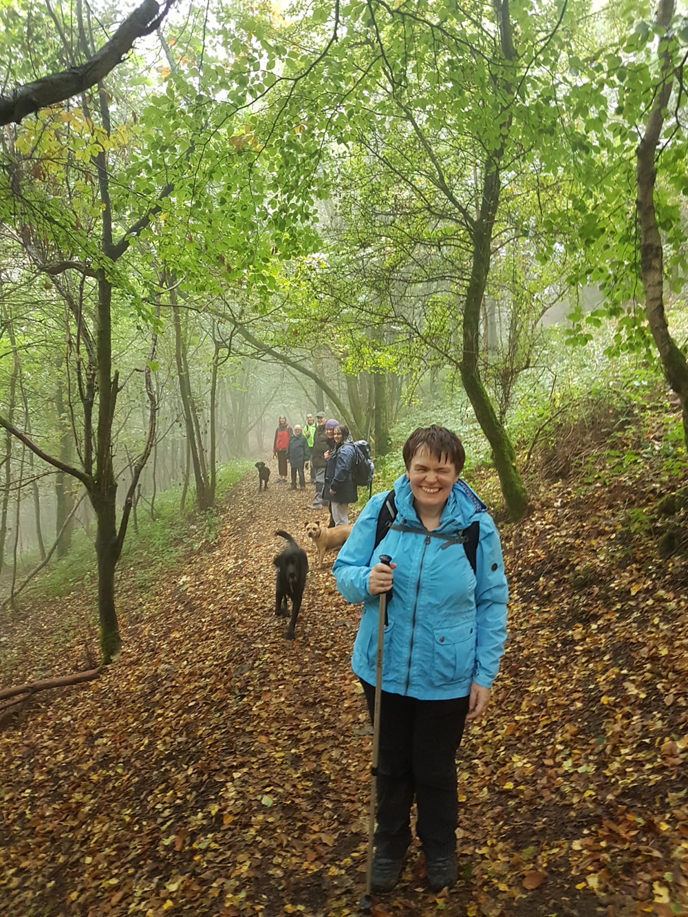 A group of walkers with dogs on a woodland path