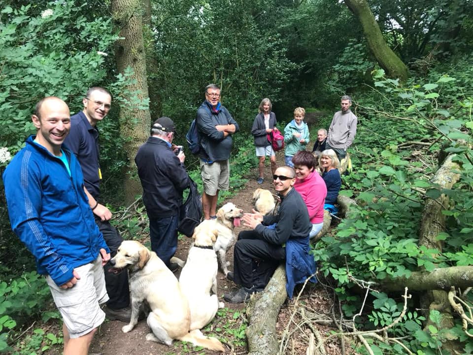 A group of walkers and three guide dogs pause for rest in the woods