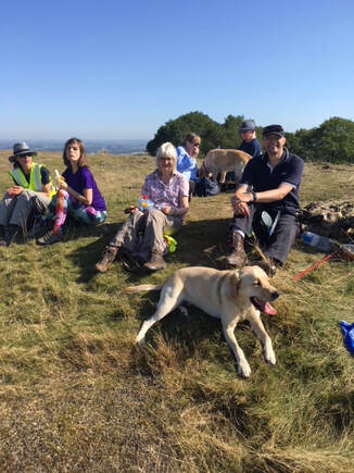 A group of walkers with some guide dogs sitting on a sunny hilltop