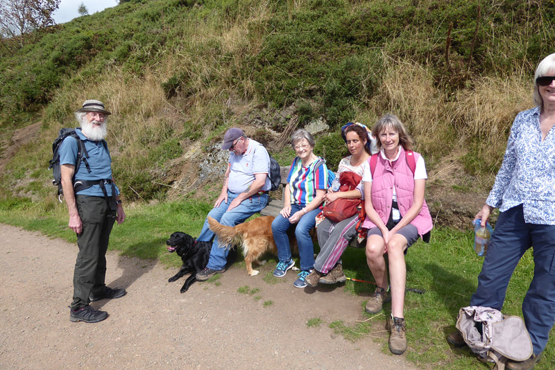 Walkers sit on a bench on the hills with two guide dogs.
