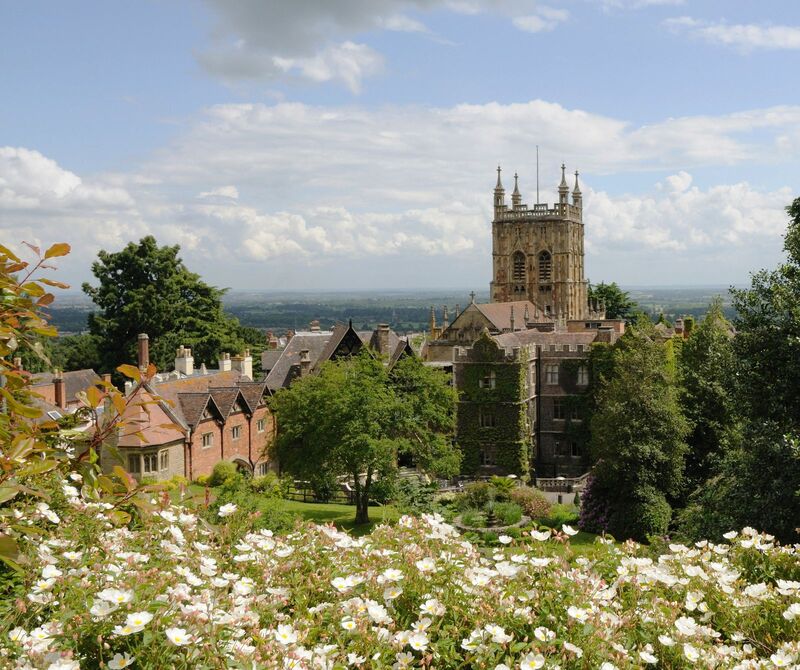A view of the Great Malvern Priory and horizon beyond with white flowers in the foreground.