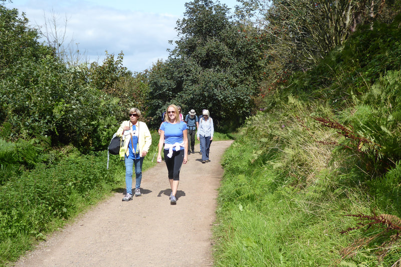 Four walkers walk along a wide gravel path in the sunshine.